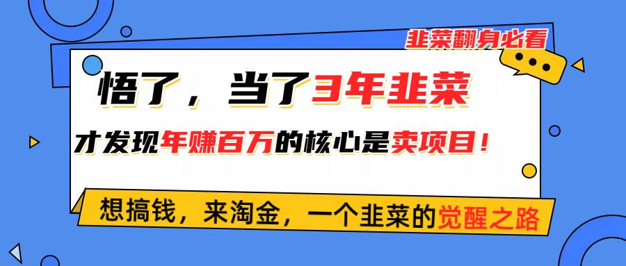 悟了，当了3年韭菜，才发现网赚圈年赚100万的核心是卖项目，含泪分享！-易创网