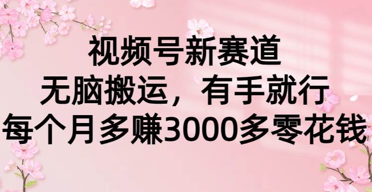 视频号新赛道，无脑搬运，有手就行，每个月多赚3000多零花钱-易创网