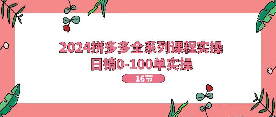 2024拼多多全系列课程实操，日销0-100单实操【16节课】-易创网