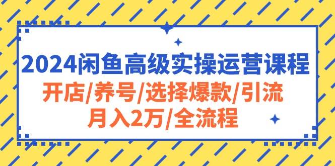2024闲鱼高级实操运营课程：开店/养号/选择爆款/引流/月入2万/全流程-易创网
