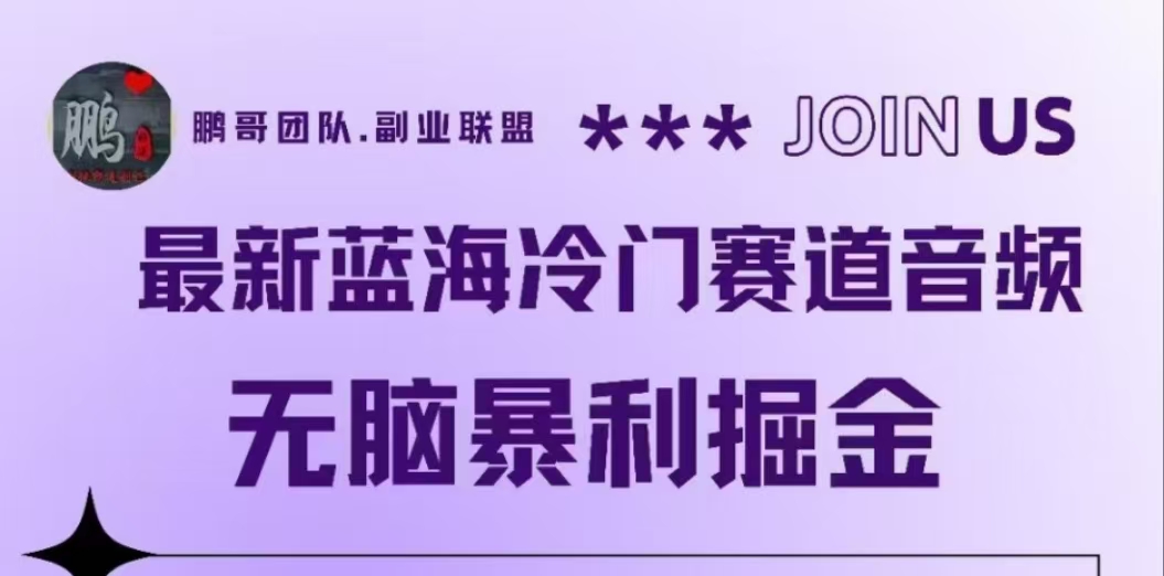 最新蓝海冷门赛道音频，无脑暴利掘金-易创网
