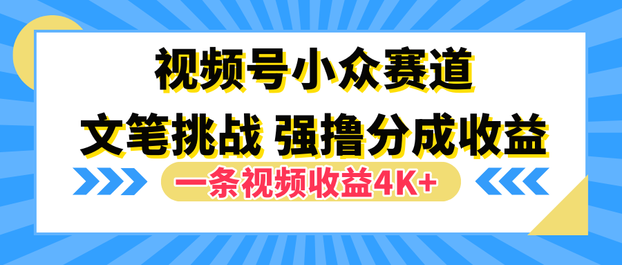 视频号小众赛道，文笔挑战，一条视频收益4K+-易创网