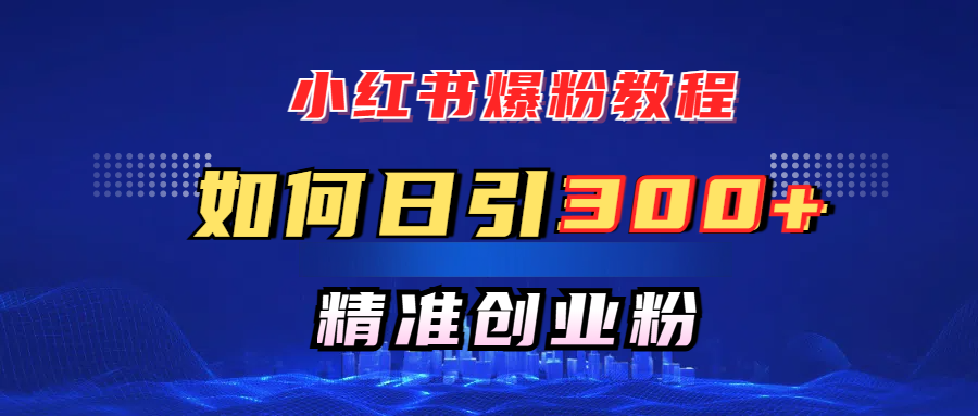 小红书爆粉教程，如何日引300+创业粉，快速实现精准变现！倾城领域-倾城领域