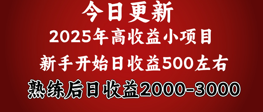 2025开年好项目，新手日收益500+ 熟练掌握后，日收益平均2000多-易创网