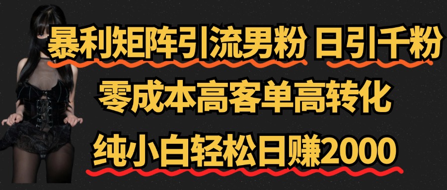 暴利矩阵引流男粉（日引千粉），零成本高客单高转化，纯小白轻松日赚2000+-易创网