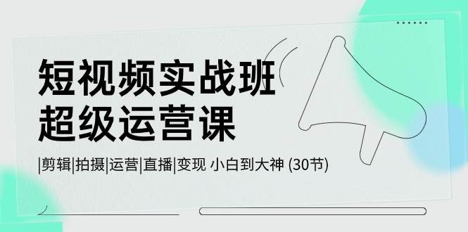 短视频实战班-超级运营课，|剪辑|拍摄|运营|直播|变现 小白到大神 (30节)-易创网