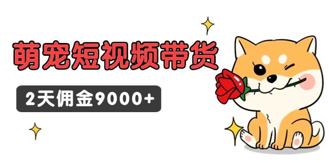 东哲日记·萌宠短视频带货，2天佣金9000+-易创网