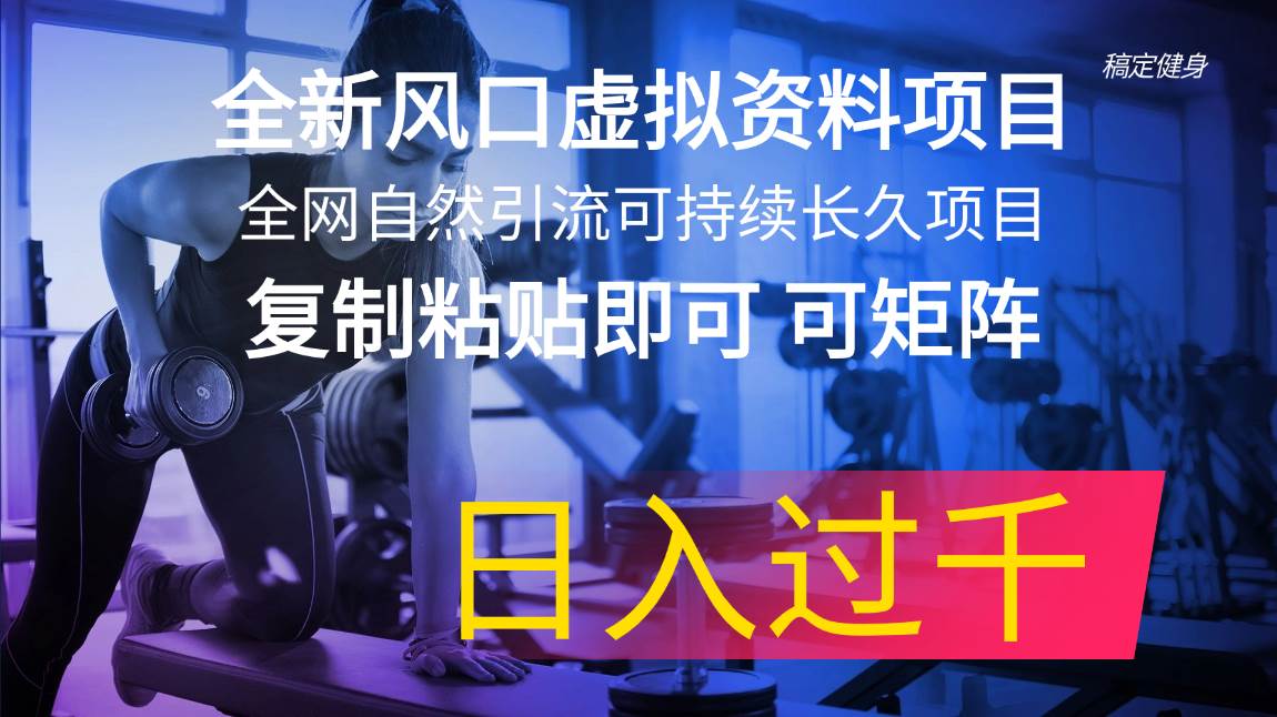全新风口虚拟资料项目 全网自然引流可持续长久项目 复制粘贴即可可矩阵…-易创网
