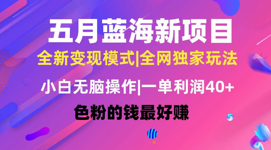 五月蓝海项目全新玩法，小白无脑操作，一天几分钟，矩阵操作，月入4万+-易创网
