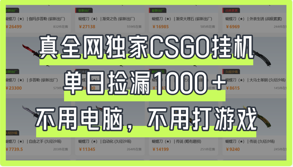 真全网独家CSGO挂机，单日捡漏1000+-易创网