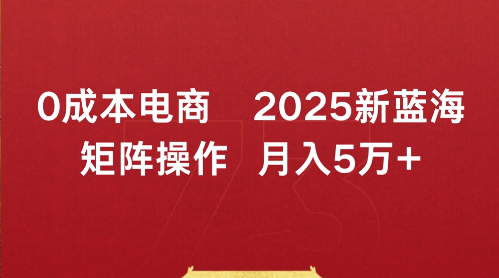 0成本电商2025新蓝海矩阵操作 月入5万+-易创网