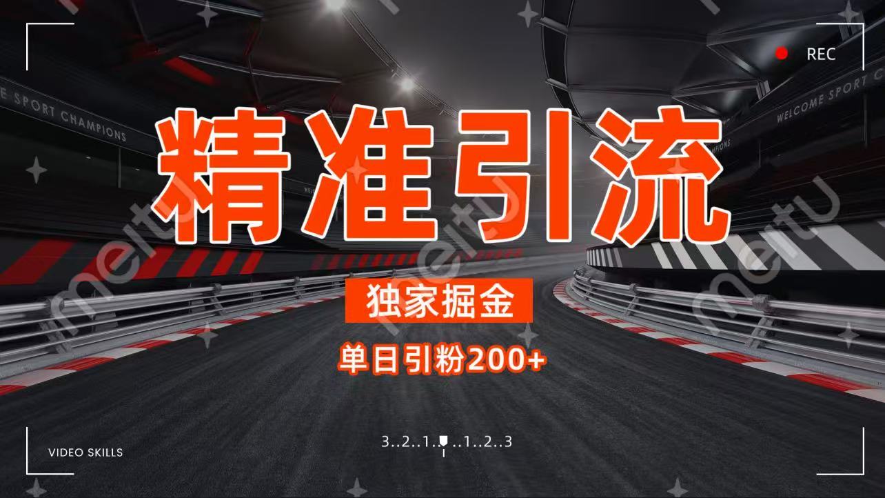 独家野路子精准引流 每日200+-易创网